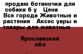 продаю ботиночки для собаки б/у › Цена ­ 600 - Все города Животные и растения » Аксесcуары и товары для животных   . Ярославская обл.,Ярославль г.